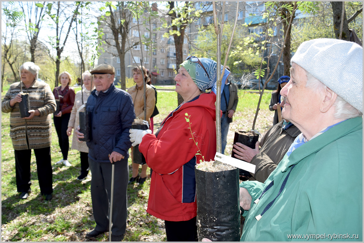 11 мая 2018г. в парке рядом с мемориалом памяти боевых и трудовых подвигов судостроителей посадили аллею деревьев
